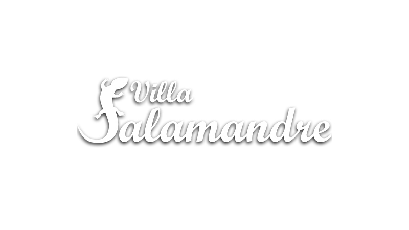 Villa la Salamande Provençale